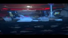 من يحمي بار “ذا كيف” بالمهندسين؟.. ليلة القرش الصاخبة مع مايا تمتد من السابعة صباحًا حتى الخامسة مساءً وتشعل الجدل حول ما يجري داخل المكان