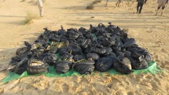 فى ضربة أمنية حاسمة.. ضبط مخدرات بقيمة 1,6 مليار جنيه بالإسماعيلية