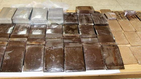 سقوط الحشاشين في المنوفية