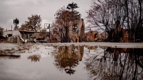 مصرع رضيع غرقا ببركة تجميع مياه في الوادي الجديد