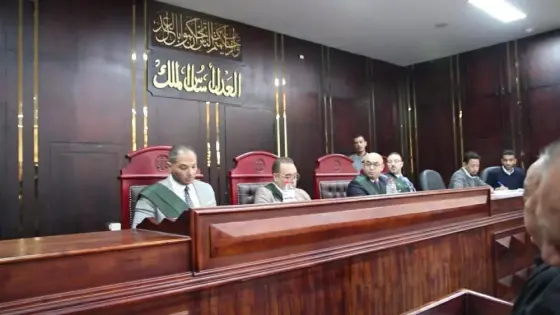 «كان بيأكل الناس لحم حمير».. المحكمة تعاقب جزار الأقصر بالسجن 3 سنوات