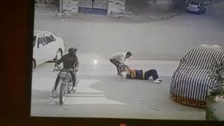 سحل سيدة.أرشيفية