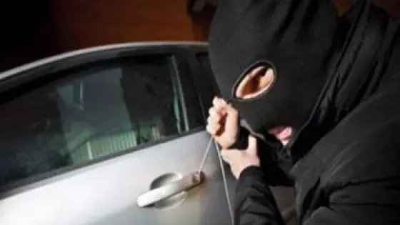 تهديد بسلاح ناري ينتهي بسقوط متهم سرقة سيارة بالهرم
