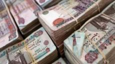 غسل 50 مليون جنيه.. الإجراءات القانونية ضد متهم بالاتجار غير المشروع في النقد الأجنبي