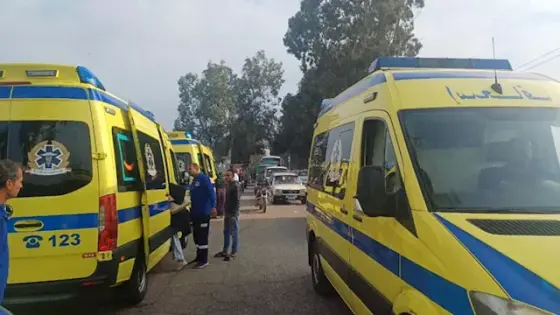 مصرع شخص وإصابة 10 آخرين في انقلاب ميكروباص على صحراوي المنيا