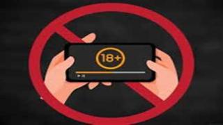 بعد ارتفاع الزيارة عليها.. برلماني يطالب بحجب المواقع الإباحية في مصر