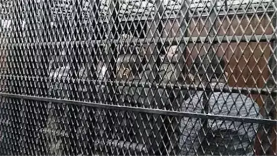 إحالة 31 للمحاكمة بتهمة تعريض طلاب مدرستي سيدز والإسكندرية للغات للخطر