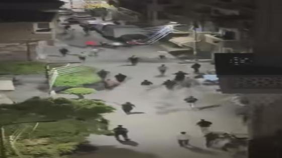 حبس 8 متهمين في مشاجرة ببنها استخدموا خلالها الكلاب وأنابيب البوتاجاز