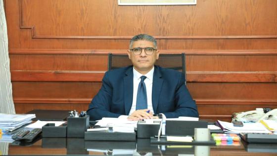 محافظ الجيزة