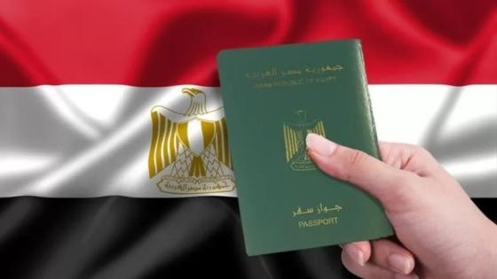 الداخلية ترد الجنسية المصرية لـ14 شخصا.. بينهم مقيمون في بريطانيا والكويت