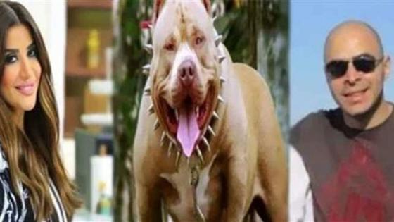 رفض استئناف زوج أميرة شنب بشأن تعويض أسرة محمد الماوي