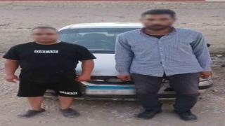 لن يفلتوا من العقاب.. ضبط شخصين بتهمة تسميم الكلاب الضالة فى الهرم