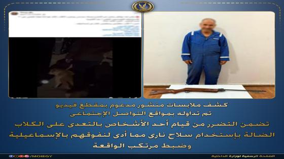 بندقية “رش” وراء الواقعة.. ضبط متهم بالتعدي على الكلاب الضالة في الإسماعيلية