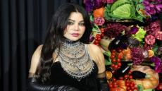 تحقيق رسمي ضد حسابات نشرت فيديوهات مفبركة بالذكاء الاصطناعي لهيفاء وهبي