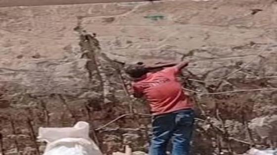 القبض على شخص حاول سرقة الحديد من سور المترو في العصافرة بالإسكندرية