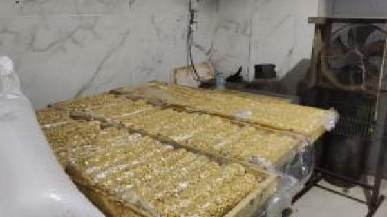 ضبط 8 طن حلوى مولد مجهولة المصدر داخل مصنع بدون ترخيص بالمنوفية