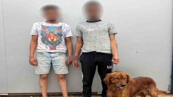 احتجاز شاب وتهديده باستخدام كلب بسبب خلافات مالية في السلام.. والأمن ينقذه