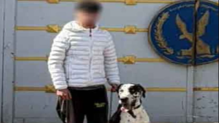 القبض على طالب أطلق كلبًا شرسًا على زميله في القطامية