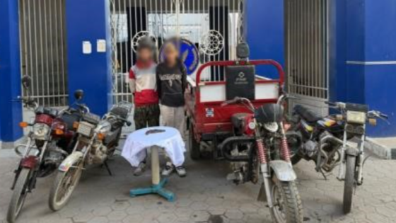 ضبط شخصين تخصصا في سرقة الدراجات النارية بأسلوب “توصيل الأسلاك” بمصر الجديدة