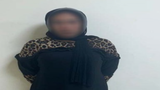 التريند يتحول إلى قضية.. ضبط سيدة ألقت حجارة على سيارة ببورسعيد