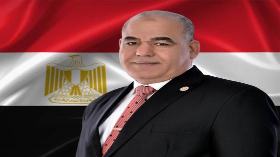 السيرة الذاتية لـ رفعت عطا مرشح «حماة وطن» لمجلس الشيوخ