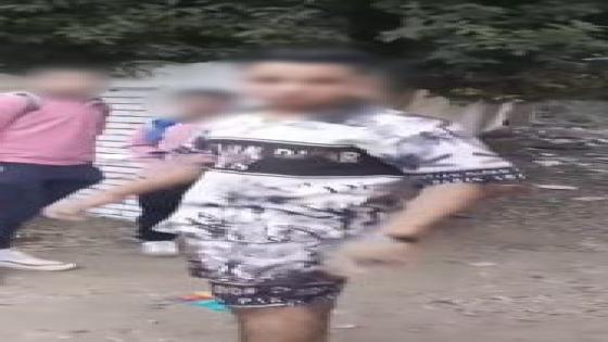 الداخلية تكشف حقيقة فيديو تعرض طالبات للمضايقة أمام مدرسة بالجيزة