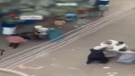 خلافات على الميراث تتحول إلى مشاجرة بالدقهلية