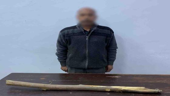 القبض على رجل في الفيوم بعد قتله كلبًا بالعصا