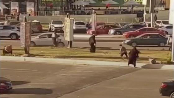 اليوم.. تجديد حبس رجل أعمال متهم بالتعدي على فرد أمن في التجمع الخامس