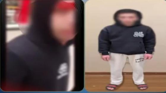 القبض على طالب بتهمة التحرش ومحاولة سرقة هاتف فتاة بالدقهلية