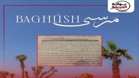 دفعوا الثمن “كاش” وانتظروا 10 سنوات.. كواليس الصدمة في مشروع “مرسى باغوش”!