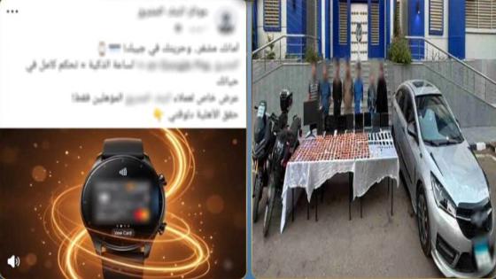 وزارة الداخلية تضبط تشكيلات عصابية تخصصت في الاحتيال الإلكتروني والاستيلاء على الحسابات البنكية