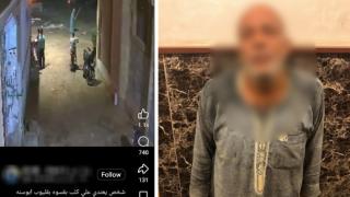 ضبط خفير خصوصي لاعتدائه على كلب بعصا خشبية بقليوب.. واعترف: “عض زوجتي”