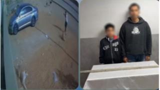 ضبط سائق وطفل بعد تداول فيديو لتعديهما على كلب ضال بأكتوبر