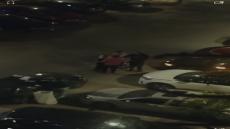 بسبب ركن صف ثاني: مشاجرة في “مدينتي” تنتهي بالاعتداء على فرد أمن