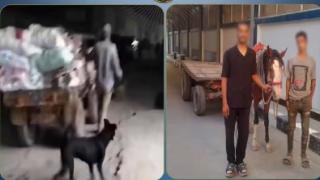الأمن يكشف ملابسات فيديو إلقاء مخلفات بالمرج.. ضبط المتهمين والتحفظ على عربة الكارو