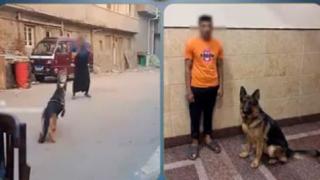 الداخلية تكشف ملابسات فيديو مهاجمة سيدة بكلب في البحيرة.. والمتهم: “كنت بهزر”