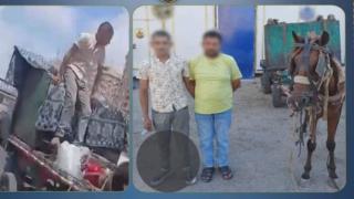ضبط عاطلين سرقا صندوق قمامة تابعًا لإحدى شركات النظافة بالإسكندرية