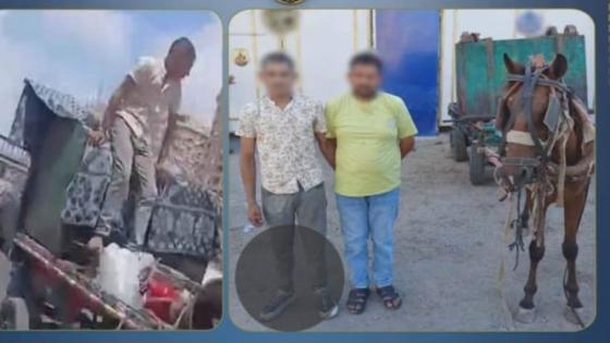 ضبط عاطلين سرقا صندوق قمامة تابعًا لإحدى شركات النظافة بالإسكندرية