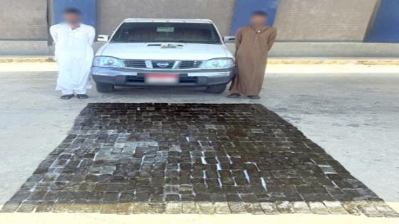 مصرع 5 عناصر إجرامية وضبط مخدرات وأسلحة بـ74 مليون جنيه بالقليوبية