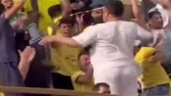 ضبط مشجع لـ مالية كفر الزيات بتهمة ارتكاب فعل فاضح عقب مباراة بالدوري