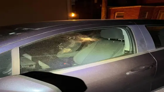 سقوط لص سيارات مدينة نصر: كسر زجاج سيارة وسرقة حقيبة بداخلها ذهب ومبلغ مالي