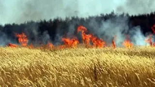 السيطرة على حريقين بمحصول القمح في طهطا وأخميم دون إصابات بسوهاج
