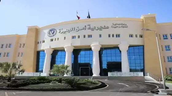 مسوق عقاري يتسلل لفيلا سيدة في أكتوبر.. والداخلية تكشف كواليس فيديو السرقة المتداول