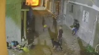 ضبط 3 أشخاص بالبحيرة بتهمة البلطجة والتعدي على عامل بسلاح أبيض وترهيبه بكلب بسبب خلافات الجيرة