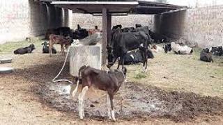 صورة__أرشيفية