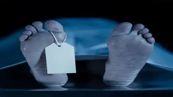 مصرع عامل صعقًا بالكهرباء داخل مزرعة في الشيخ زايد