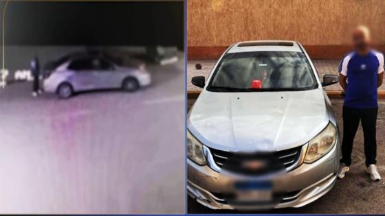 “عياله بيخافوا منهم”.. ضبط سائق وضع طعامًا مسمومًا للكلاب الضالة في حدائق الأهرام